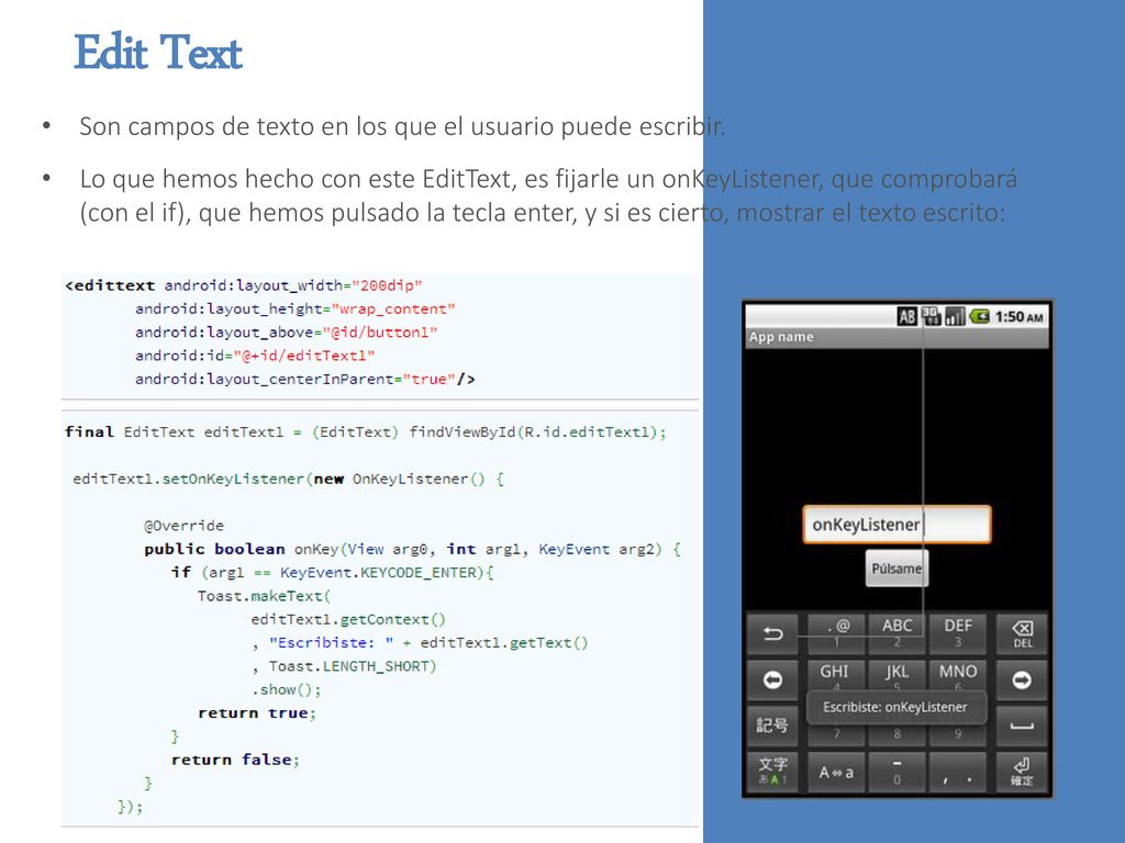 Edit Text Son campos de texto en los que el usuario puede escribir.