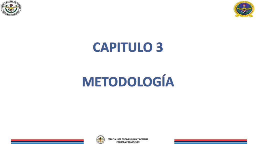 ESPECIALISTA EN SEGURIDAD Y DEFENSA