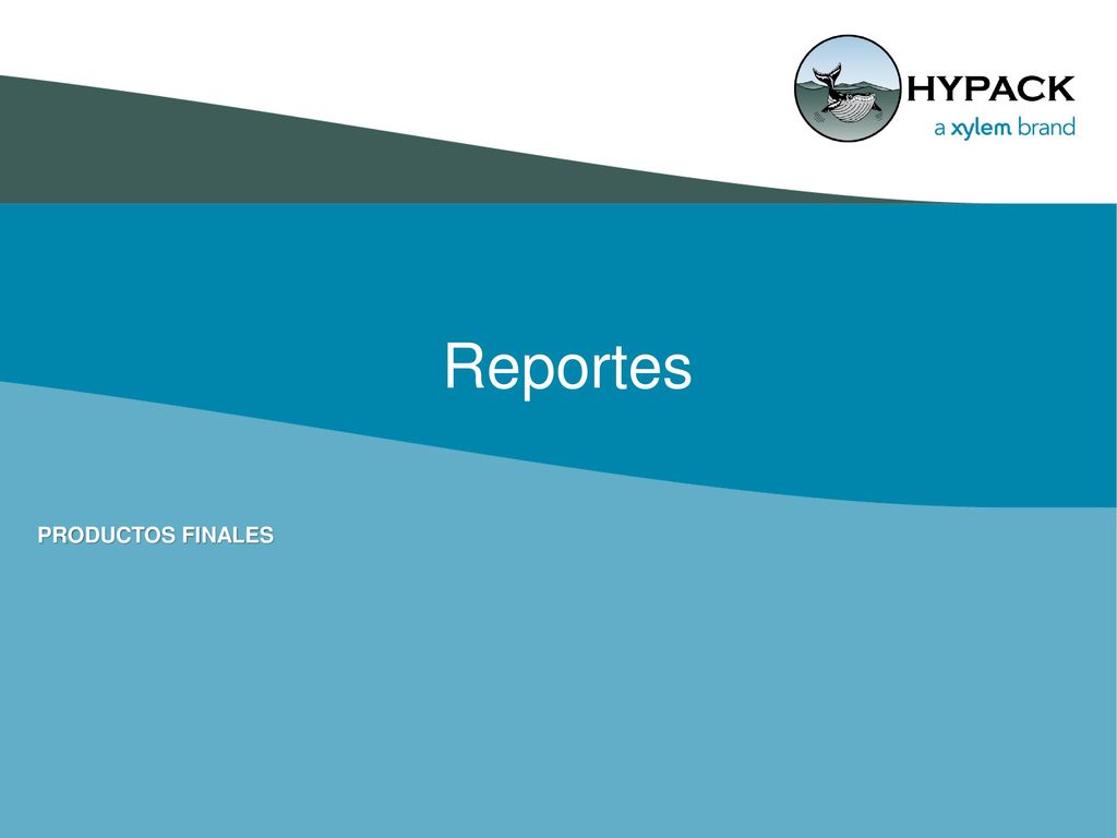 Reportes PRODUCTOS FINALES