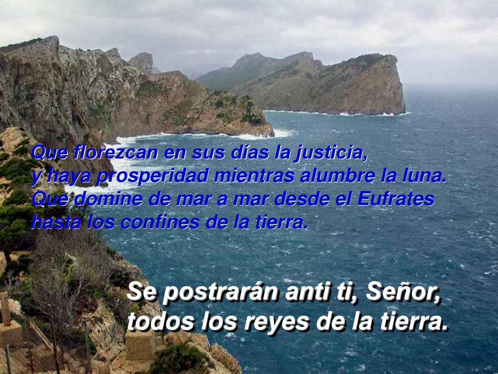 Se postrarán anti ti, Señor, todos los reyes de la tierra.