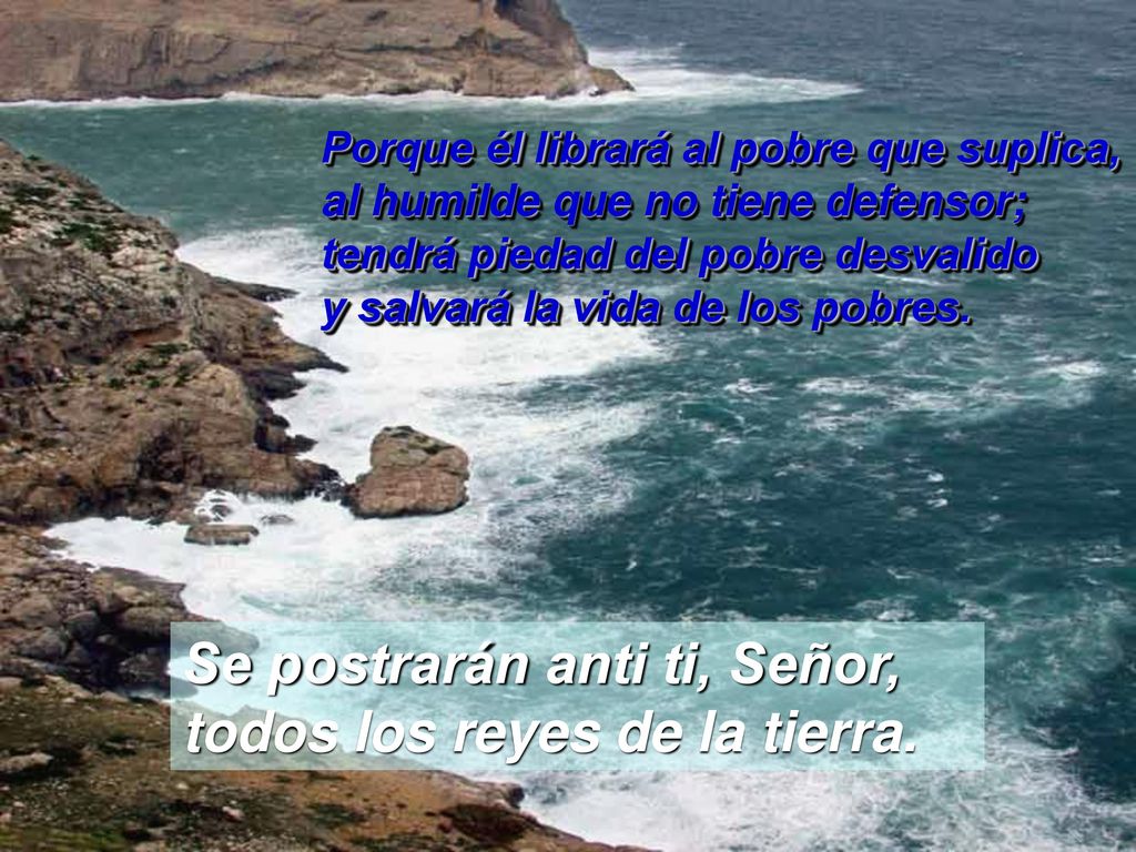 Se postrarán anti ti, Señor, todos los reyes de la tierra.