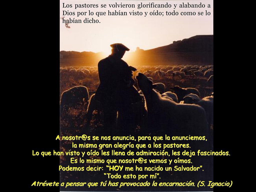 Los pastores se volvieron glorificando y alabando a Dios por lo que habían visto y oído; todo como se lo habían dicho.