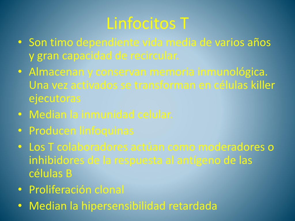 Linfocitos T Son timo dependiente vida media de varios años y gran capacidad de recircular.