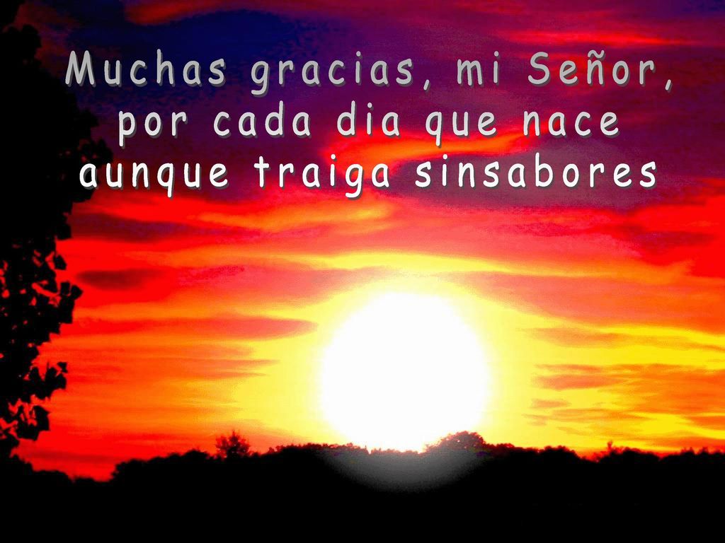 Muchas gracias, mi Señor, por cada dia que nace