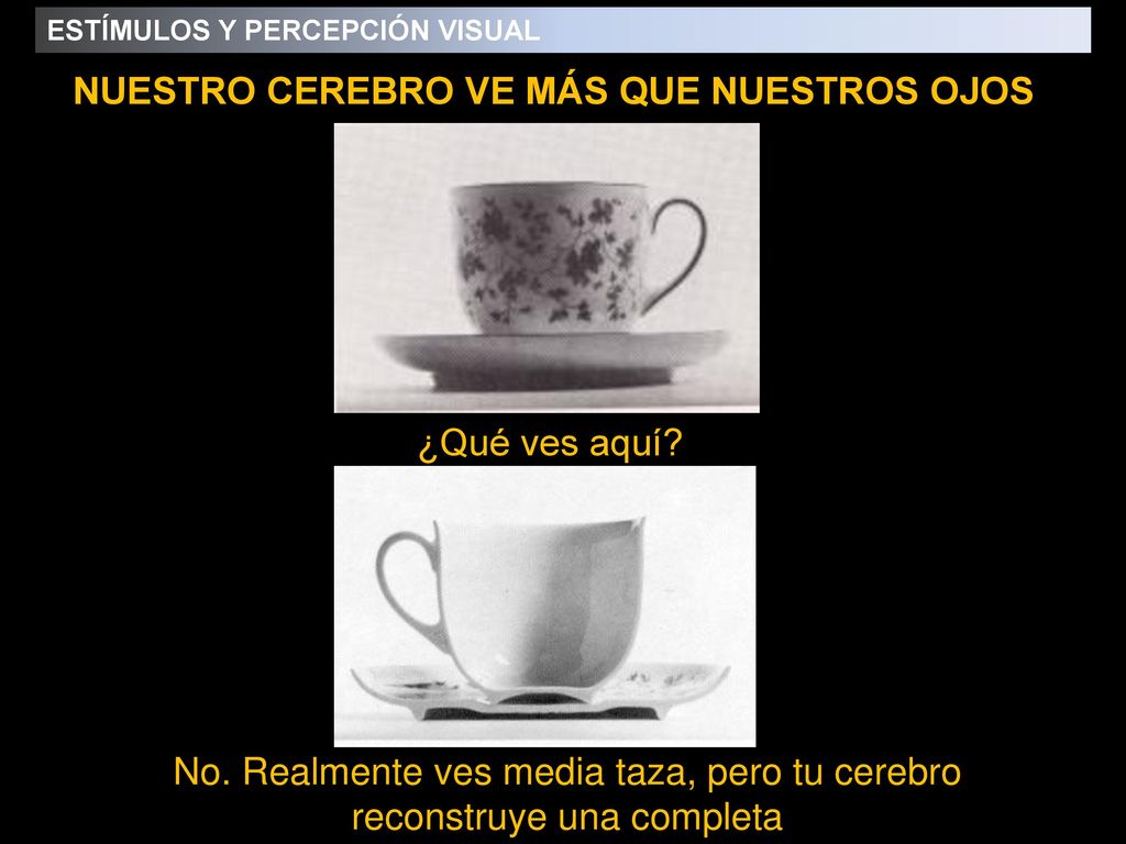 No. Realmente ves media taza, pero tu cerebro reconstruye una completa