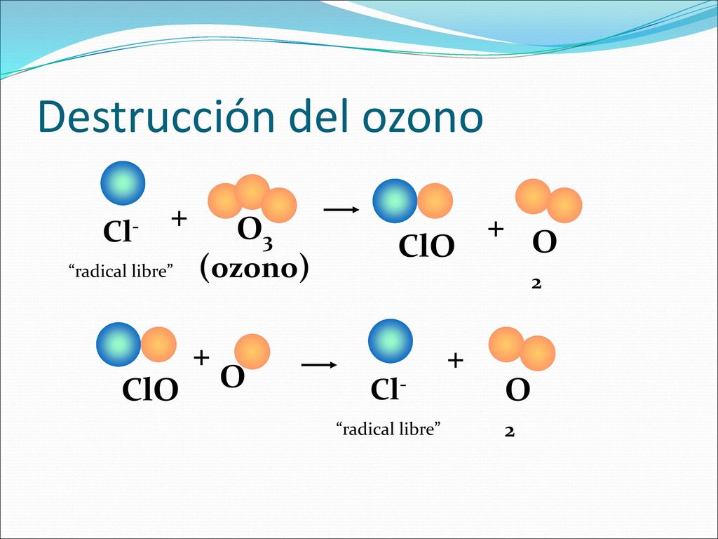 Destrucción del ozono Cl- radical libre O3 (ozono) + O2 ClO O
