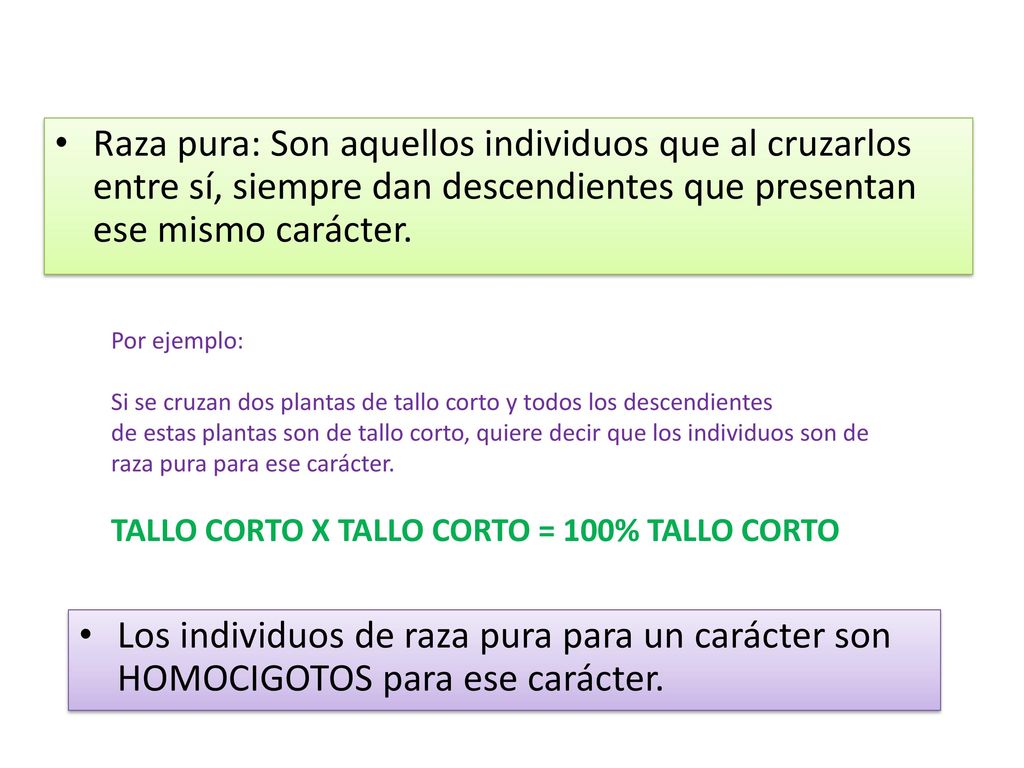 Raza pura: Son aquellos individuos que al cruzarlos entre sí, siempre dan descendientes que presentan ese mismo carácter.