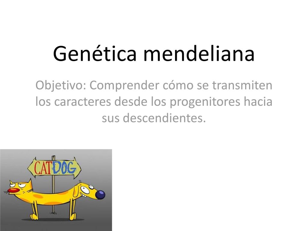 Genética mendeliana Objetivo: Comprender cómo se transmiten los caracteres desde los progenitores hacia sus descendientes.
