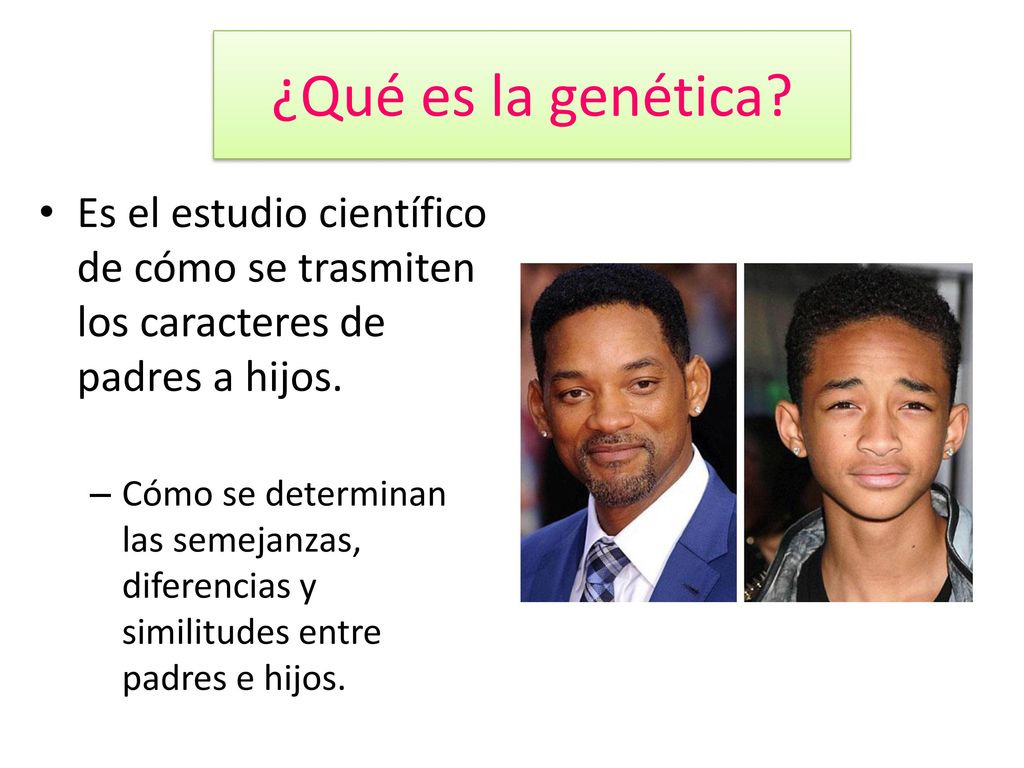 ¿Qué es la genética Es el estudio científico de cómo se trasmiten los caracteres de padres a hijos.