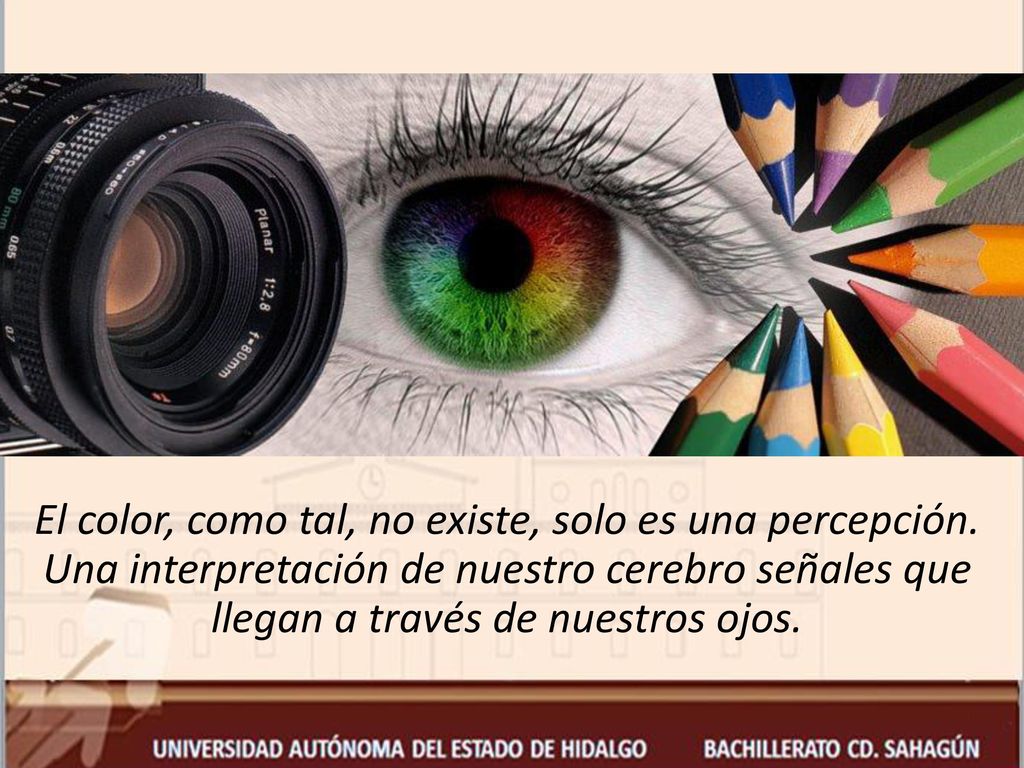 El color, como tal, no existe, solo es una percepción