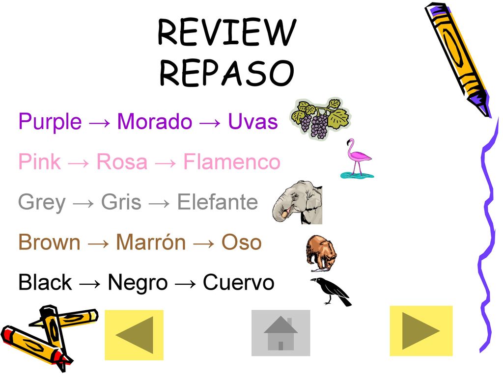REVIEW REPASO Purple → Morado → Uvas Pink → Rosa → Flamenco