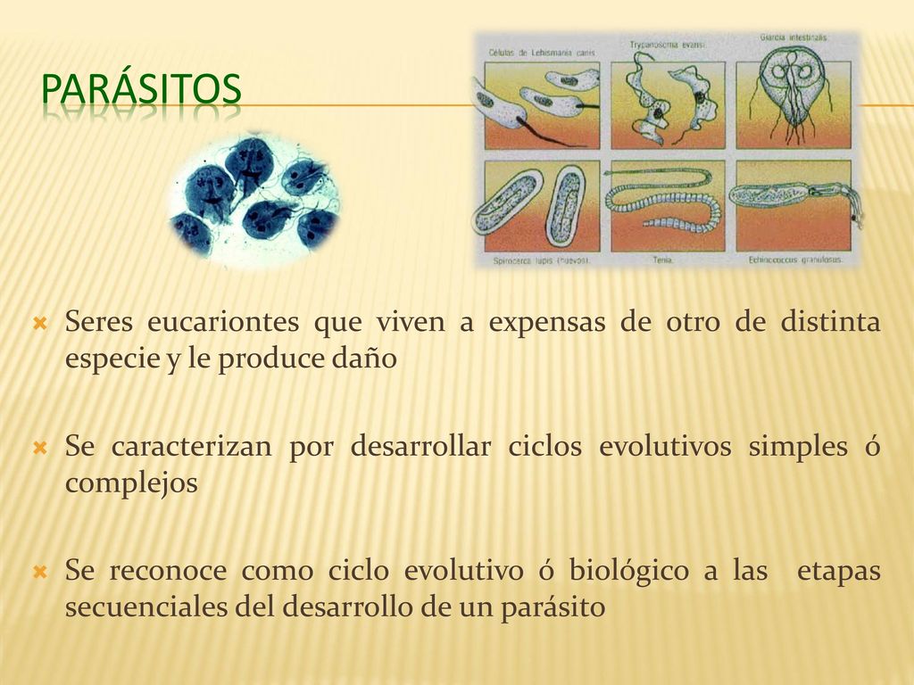 Parásitos Seres eucariontes que viven a expensas de otro de distinta especie y le produce daño.