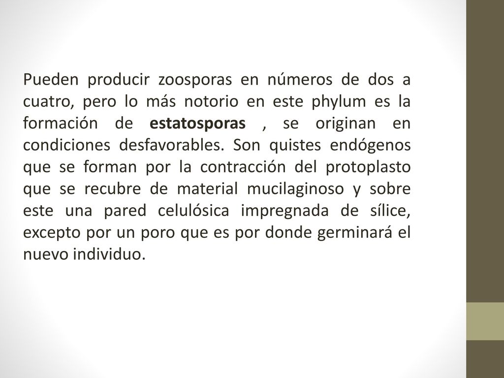 Pueden producir zoosporas en números de dos a cuatro, pero lo más notorio en este phylum es la formación de estatosporas , se originan en condiciones desfavorables.