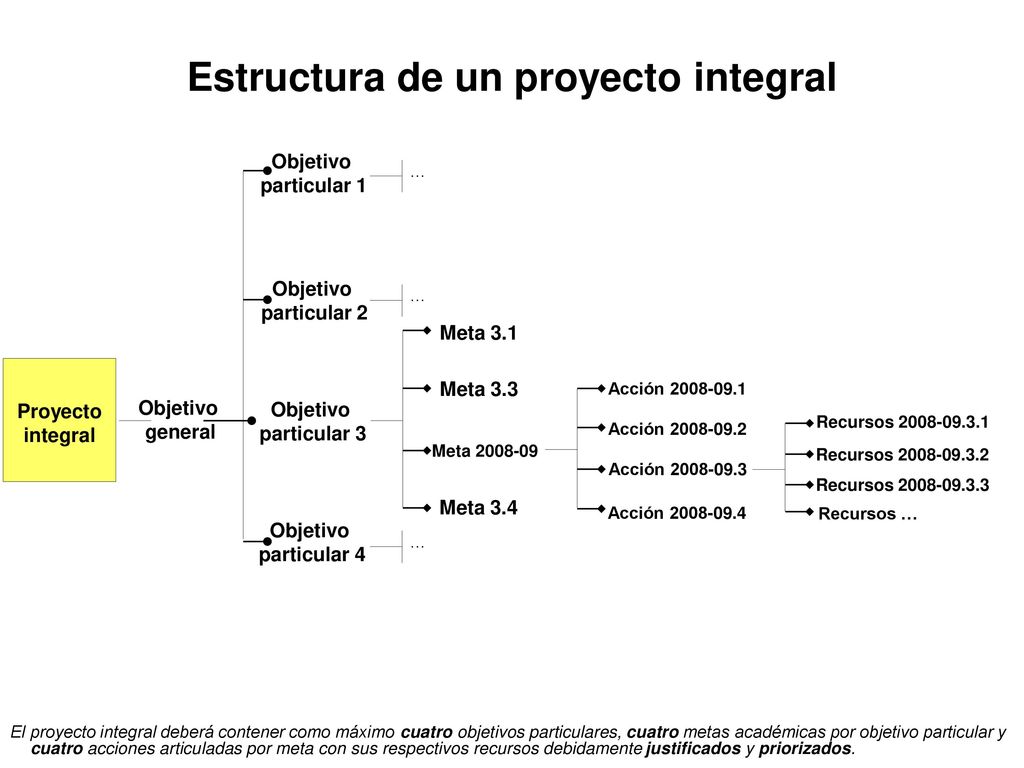 Especificaciones para los objetivos particulares de un proyecto integral para una DES.