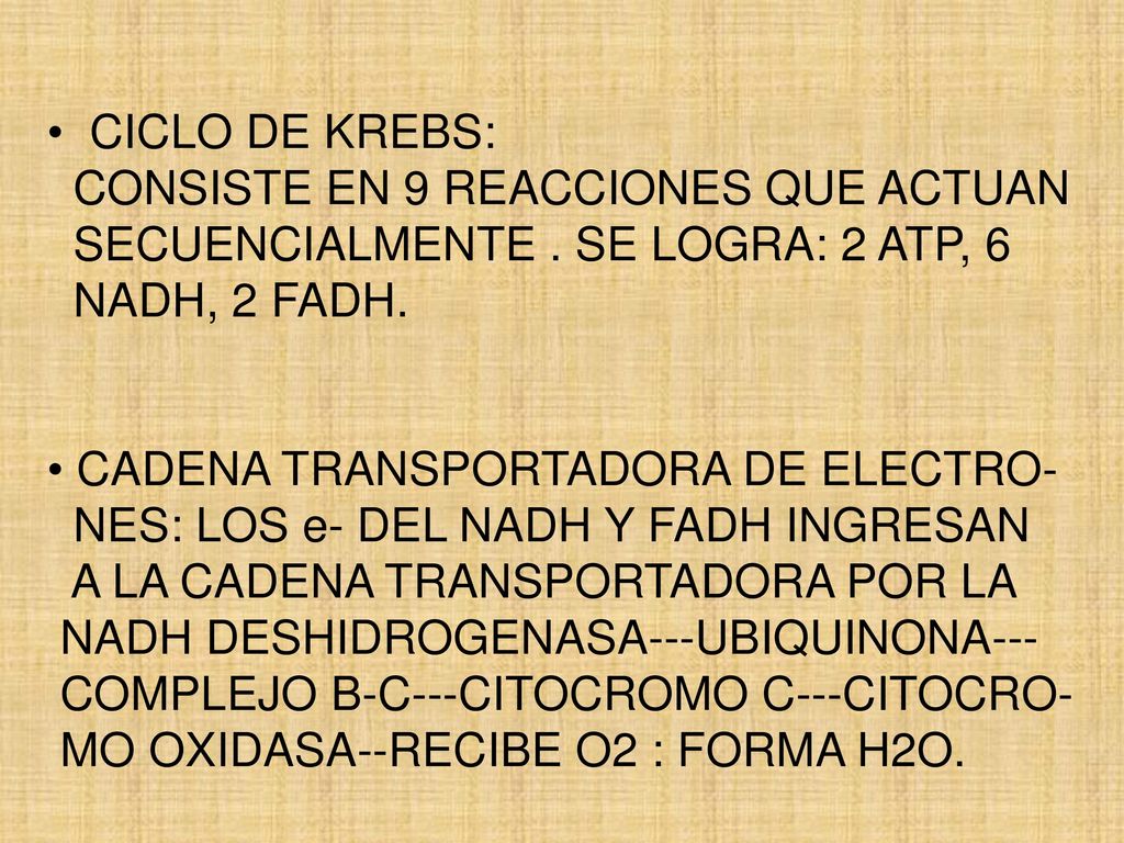 CICLO DE KREBS: CONSISTE EN 9 REACCIONES QUE ACTUAN. SECUENCIALMENTE . SE LOGRA: 2 ATP, 6. NADH, 2 FADH.