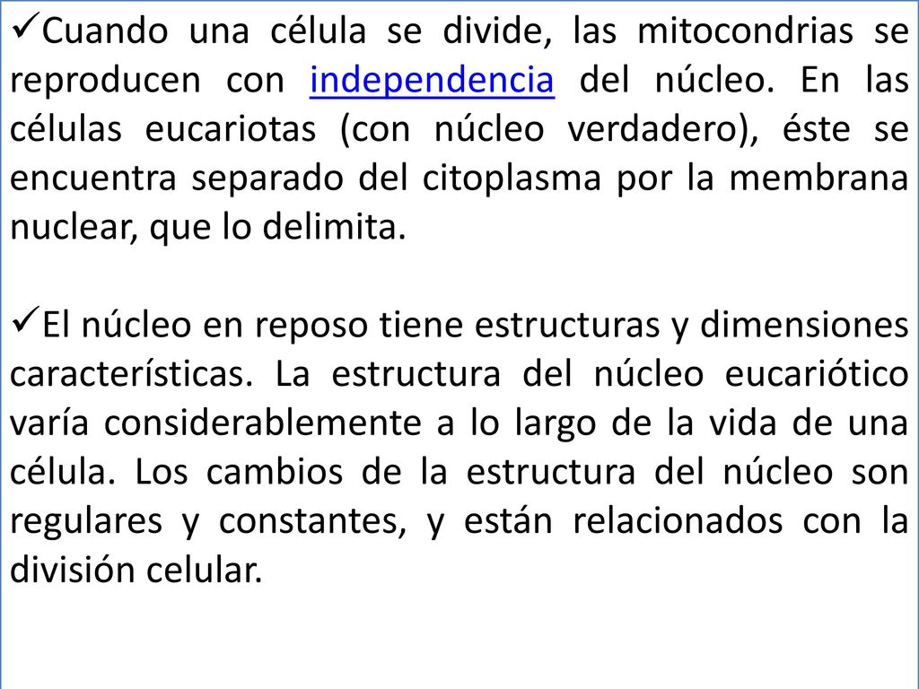 Cuando una célula se divide, las mitocondrias se reproducen con independencia del núcleo. En las células eucariotas (con núcleo verdadero), éste se encuentra separado del citoplasma por la membrana nuclear, que lo delimita.