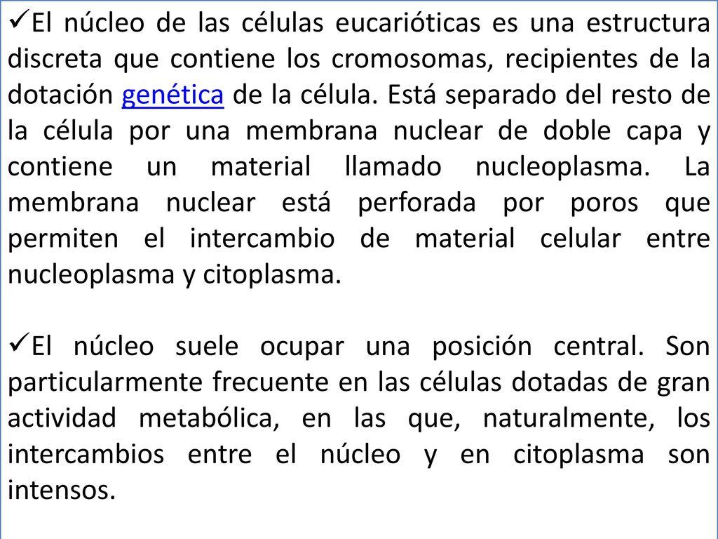 El núcleo de las células eucarióticas es una estructura discreta que contiene los cromosomas, recipientes de la dotación genética de la célula. Está separado del resto de la célula por una membrana nuclear de doble capa y contiene un material llamado nucleoplasma. La membrana nuclear está perforada por poros que permiten el intercambio de material celular entre nucleoplasma y citoplasma.