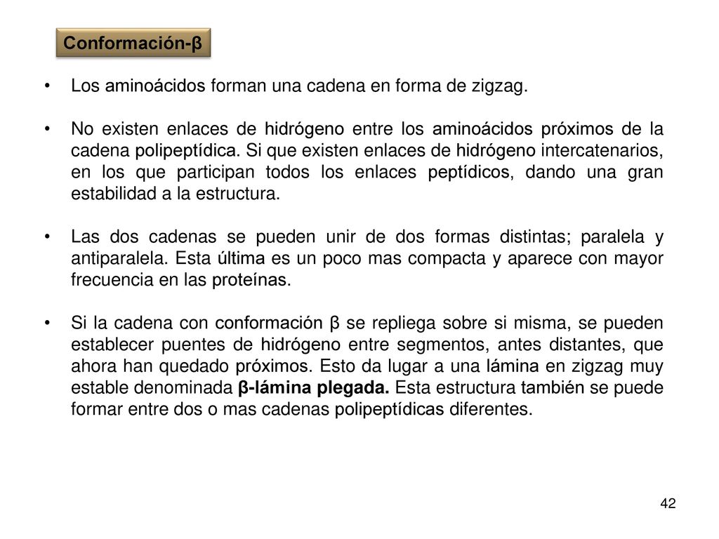 Conformación-β Los aminoácidos forman una cadena en forma de zigzag.