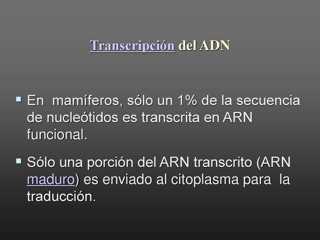 Transcripción del ADN En mamíferos, sólo un 1% de la secuencia de nucleótidos es transcrita en ARN funcional.