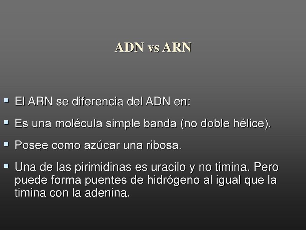 ADN vs ARN El ARN se diferencia del ADN en: