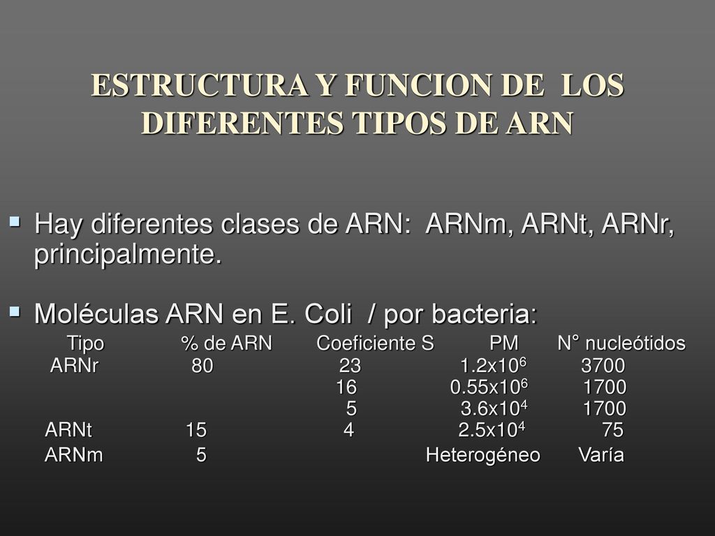 ESTRUCTURA Y FUNCION DE LOS DIFERENTES TIPOS DE ARN