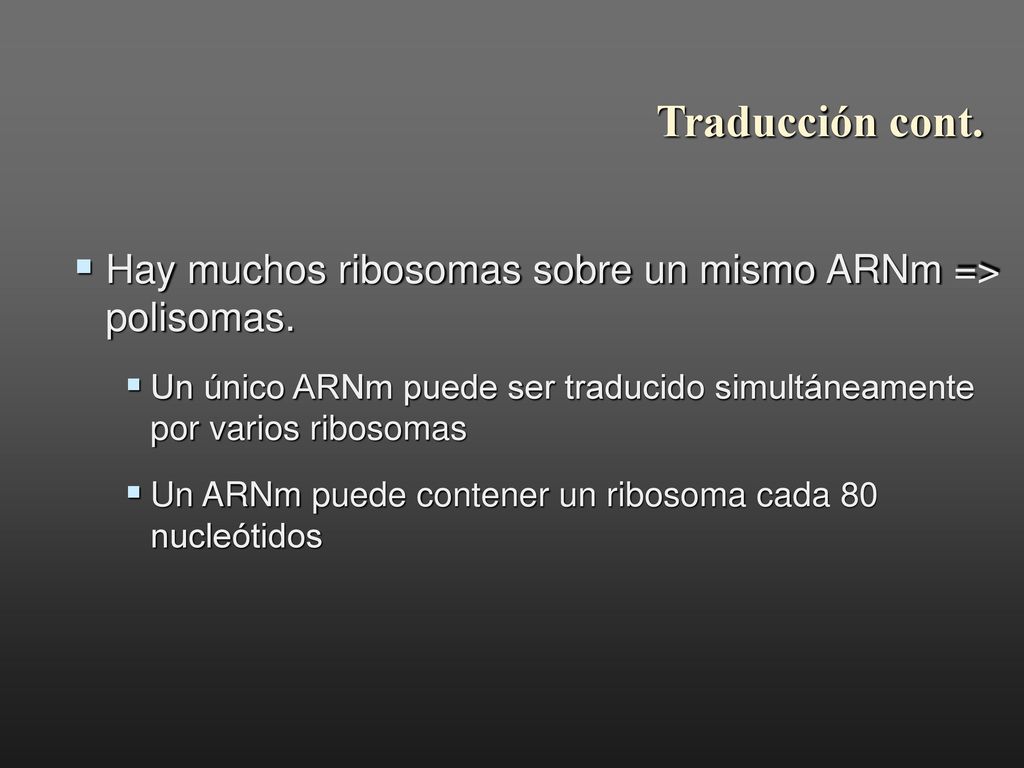 Traducción cont. Hay muchos ribosomas sobre un mismo ARNm => polisomas. Un único ARNm puede ser traducido simultáneamente por varios ribosomas.