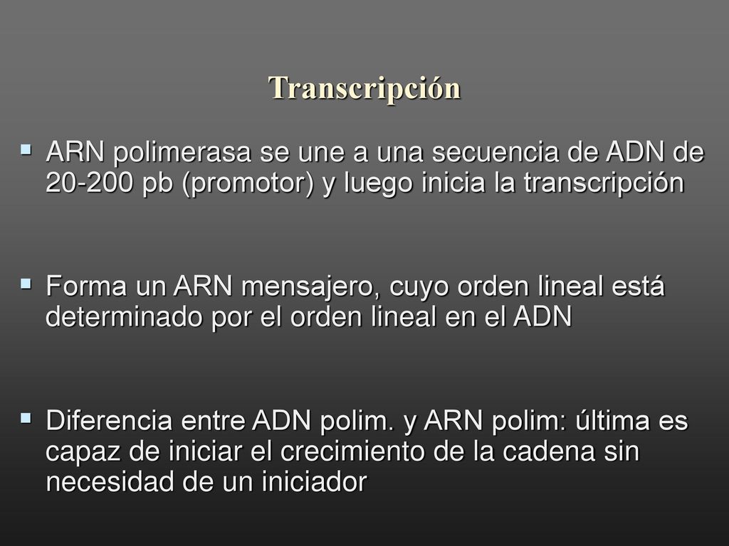 Transcripción ARN polimerasa se une a una secuencia de ADN de pb (promotor) y luego inicia la transcripción.