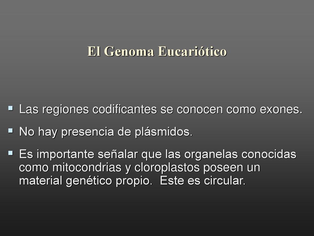 El Genoma Eucariótico Las regiones codificantes se conocen como exones. No hay presencia de plásmidos.