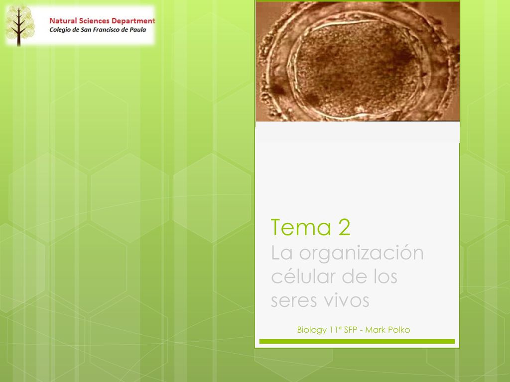 Tema 2 La organización célular de los seres vivos