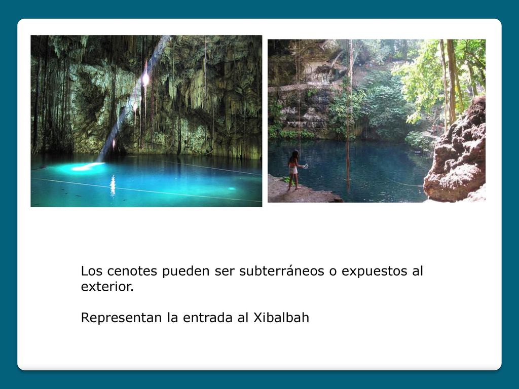 Los cenotes pueden ser subterráneos o expuestos al exterior.