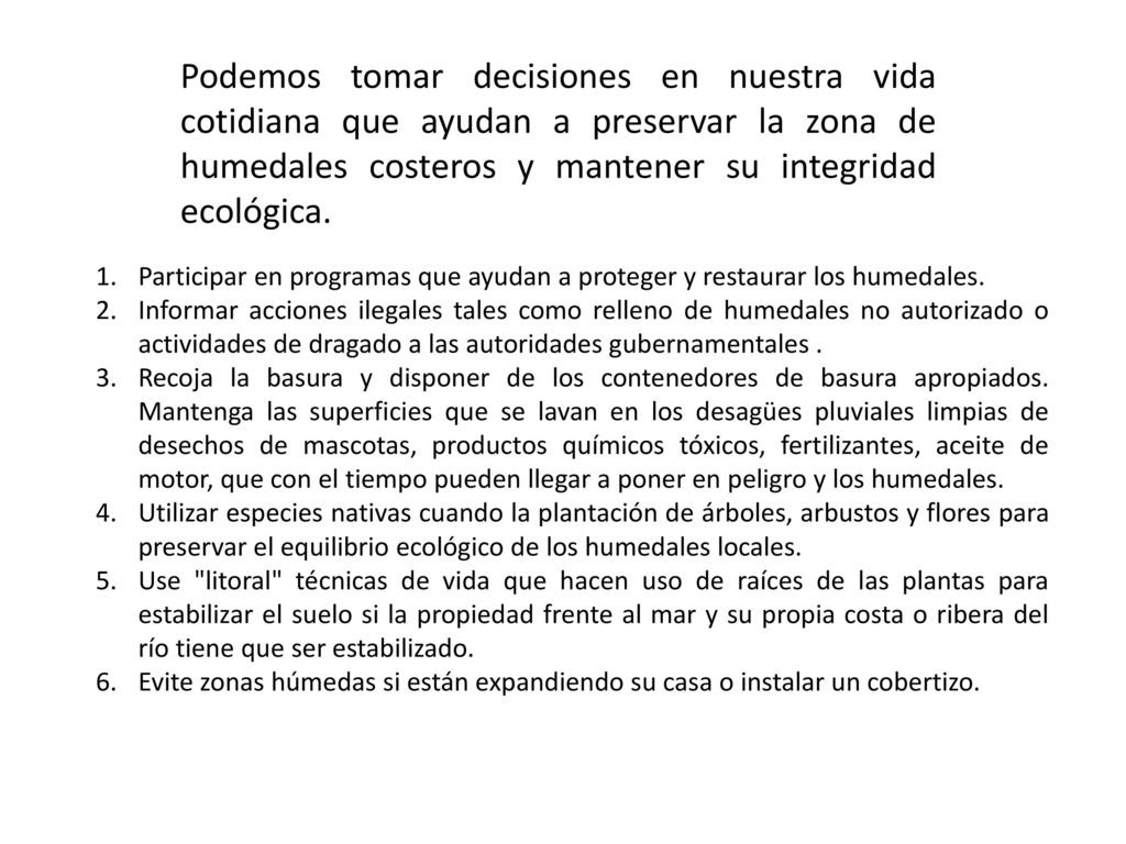 Podemos tomar decisiones en nuestra vida cotidiana que ayudan a preservar la zona de humedales costeros y mantener su integridad ecológica.