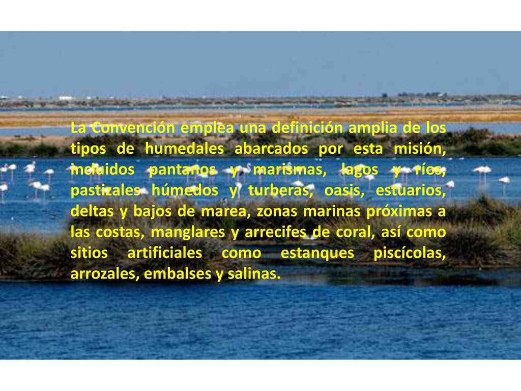 La Convención emplea una definición amplia de los tipos de humedales abarcados por esta misión, incluidos pantanos y marismas, lagos y ríos, pastizales húmedos y turberas, oasis, estuarios, deltas y bajos de marea, zonas marinas próximas a las costas, manglares y arrecifes de coral, así como sitios artificiales como estanques piscícolas, arrozales, embalses y salinas.