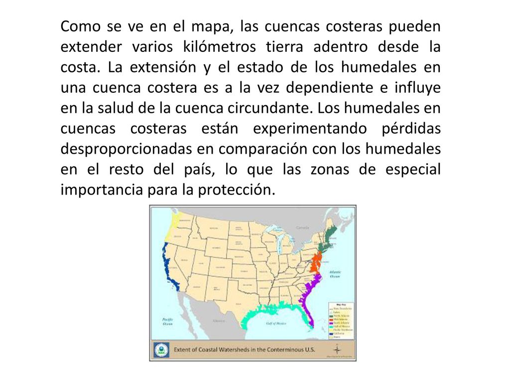 Como se ve en el mapa, las cuencas costeras pueden extender varios kilómetros tierra adentro desde la costa. La extensión y el estado de los humedales en una cuenca costera es a la vez dependiente e influye en la salud de la cuenca circundante. Los humedales en cuencas costeras están experimentando pérdidas desproporcionadas en comparación con los humedales en el resto del país, lo que las zonas de especial importancia para la protección.