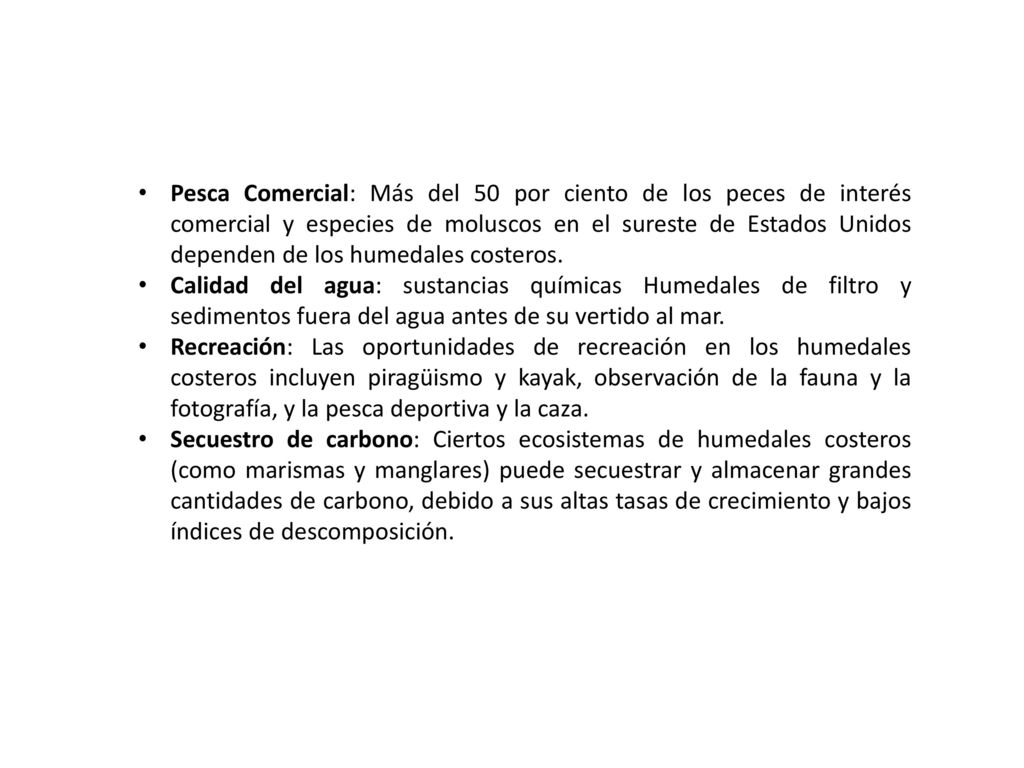 Pesca Comercial: Más del 50 por ciento de los peces de interés comercial y especies de moluscos en el sureste de Estados Unidos dependen de los humedales costeros.