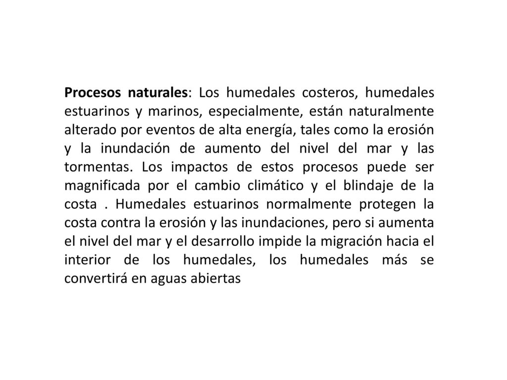 Procesos naturales: Los humedales costeros, humedales estuarinos y marinos, especialmente, están naturalmente alterado por eventos de alta energía, tales como la erosión y la inundación de aumento del nivel del mar y las tormentas.