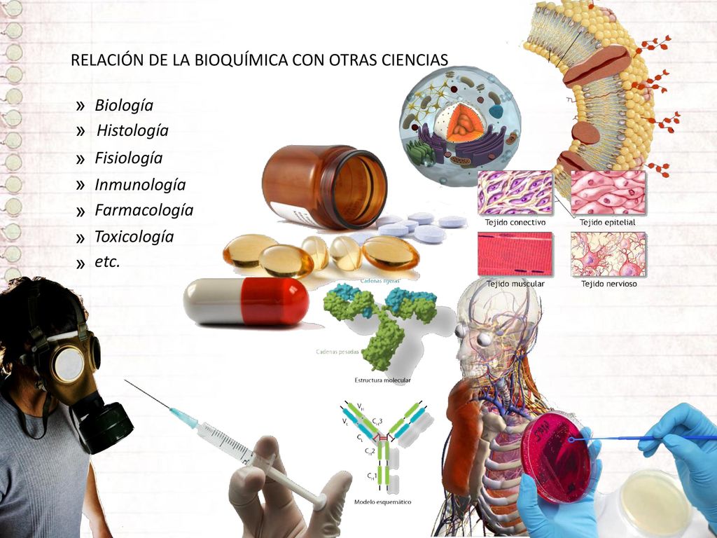 » » » » » » » RELACIÓN DE LA BIOQUÍMICA CON OTRAS CIENCIAS Biología
