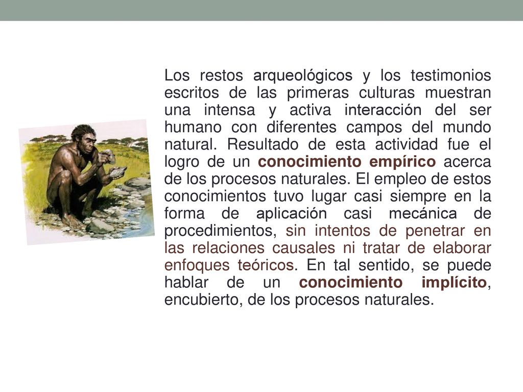 Los restos arqueológicos y los testimonios escritos de las primeras culturas muestran una intensa y activa interacción del ser humano con diferentes campos del mundo natural.