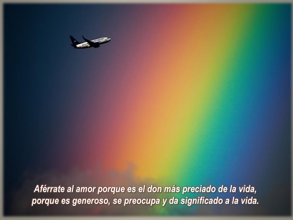 Aférrate al amor porque es el don más preciado de la vida, porque es generoso, se preocupa y da significado a la vida.