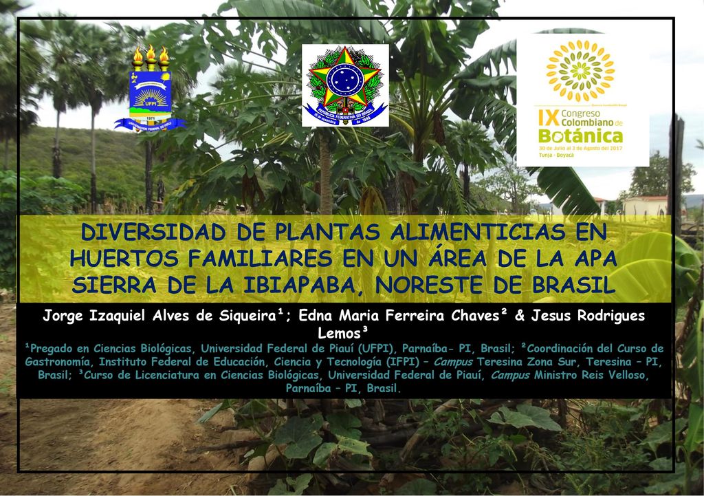 DIVERSIDAD DE PLANTAS ALIMENTICIAS EN HUERTOS FAMILIARES EN UN ÁREA DE LA APA SIERRA DE LA IBIAPABA, NORESTE DE BRASIL