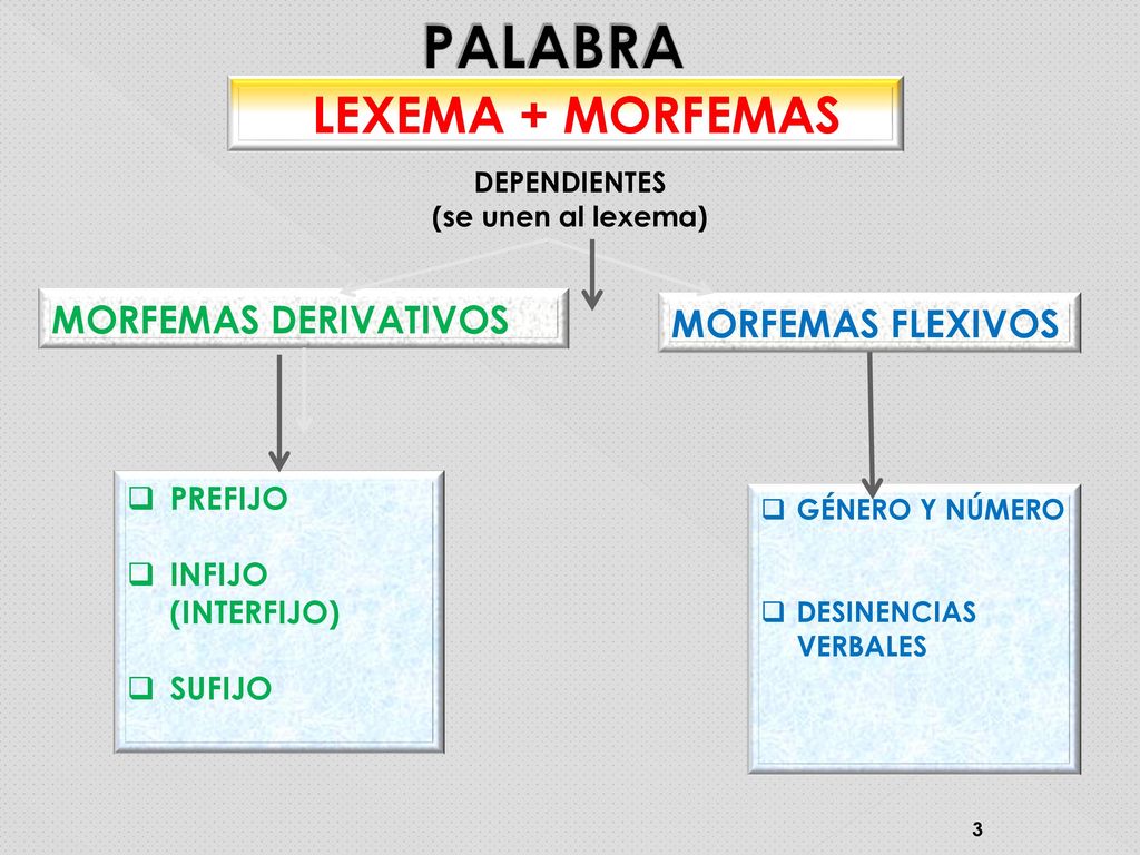 Estructura de la palabra. - ppt descargar