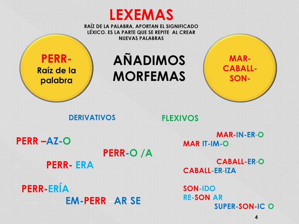 LEXEMAS AÑADIMOS MORFEMAS PERR- PERR –AZ-O PERR-O /A PERR- ERA