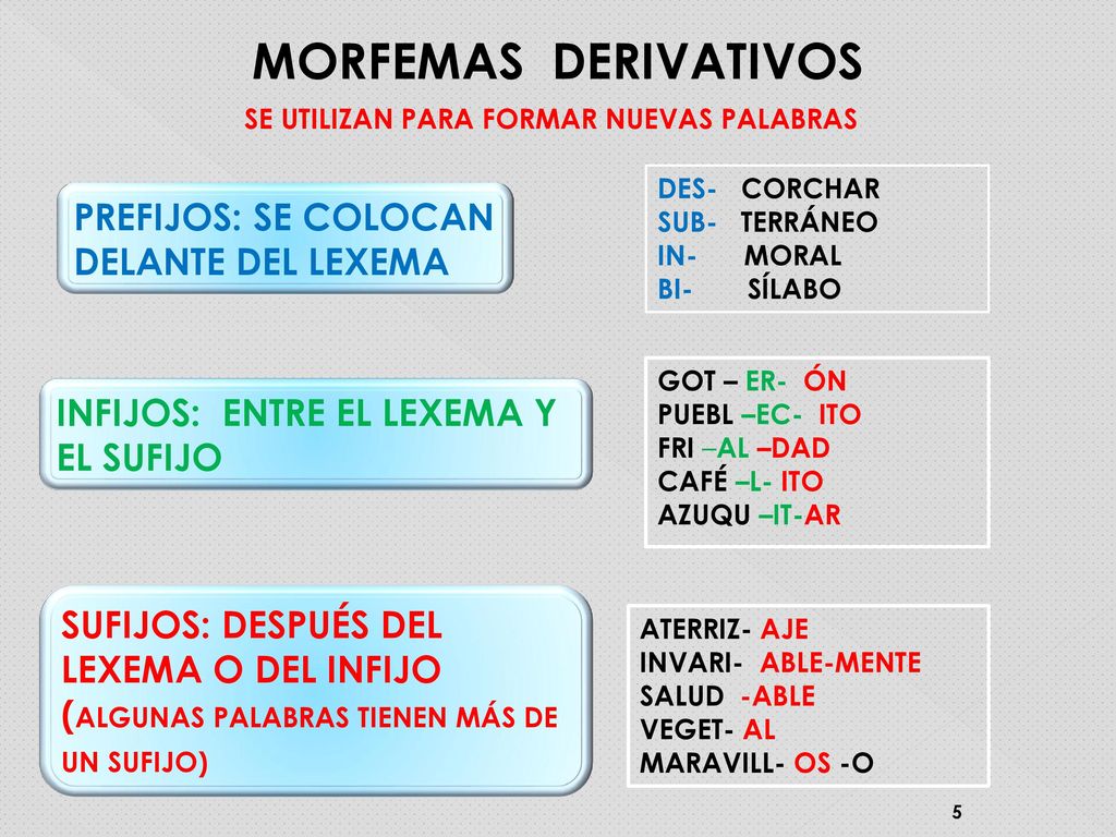 Lexema Y Morfemas Interactive Worksheet Interactive W - vrogue.co