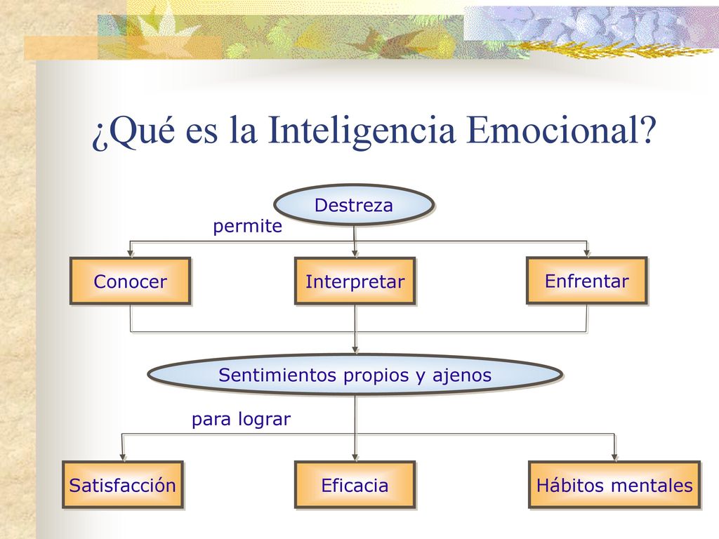 ¿Qué es la Inteligencia Emocional