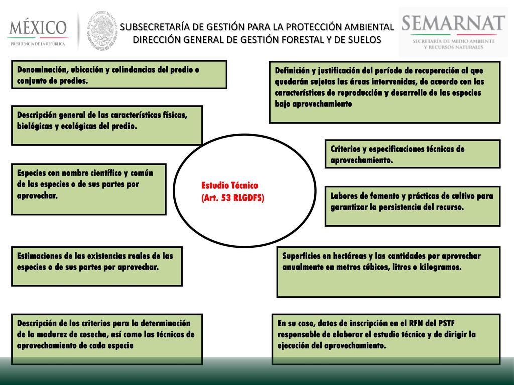 SUBSECRETARÍA DE GESTIÓN PARA LA PROTECCIÓN AMBIENTAL DIRECCIÓN GENERAL DE GESTIÓN FORESTAL Y DE SUELOS