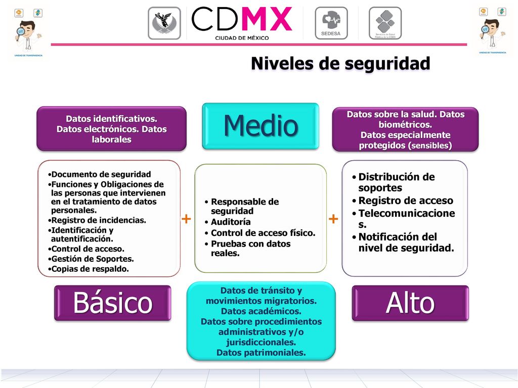 Básico Medio Alto Niveles de seguridad Distribución de soportes