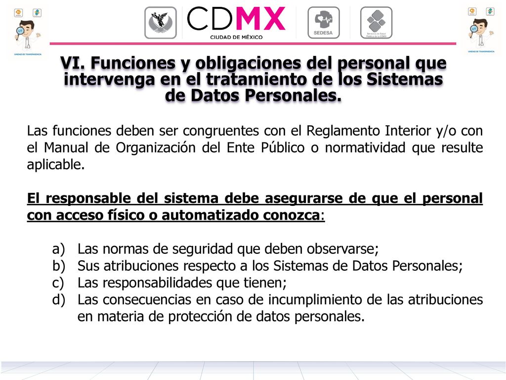 VI. Funciones y obligaciones del personal que intervenga en el tratamiento de los Sistemas de Datos Personales.
