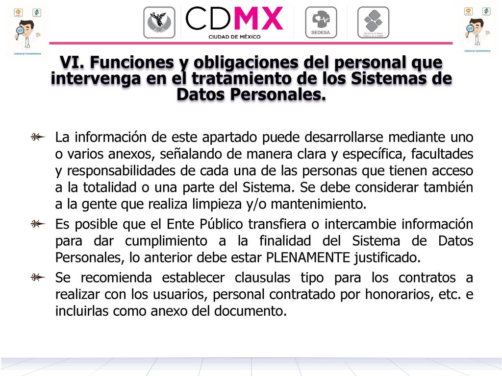 VI. Funciones y obligaciones del personal que intervenga en el tratamiento de los Sistemas de Datos Personales.