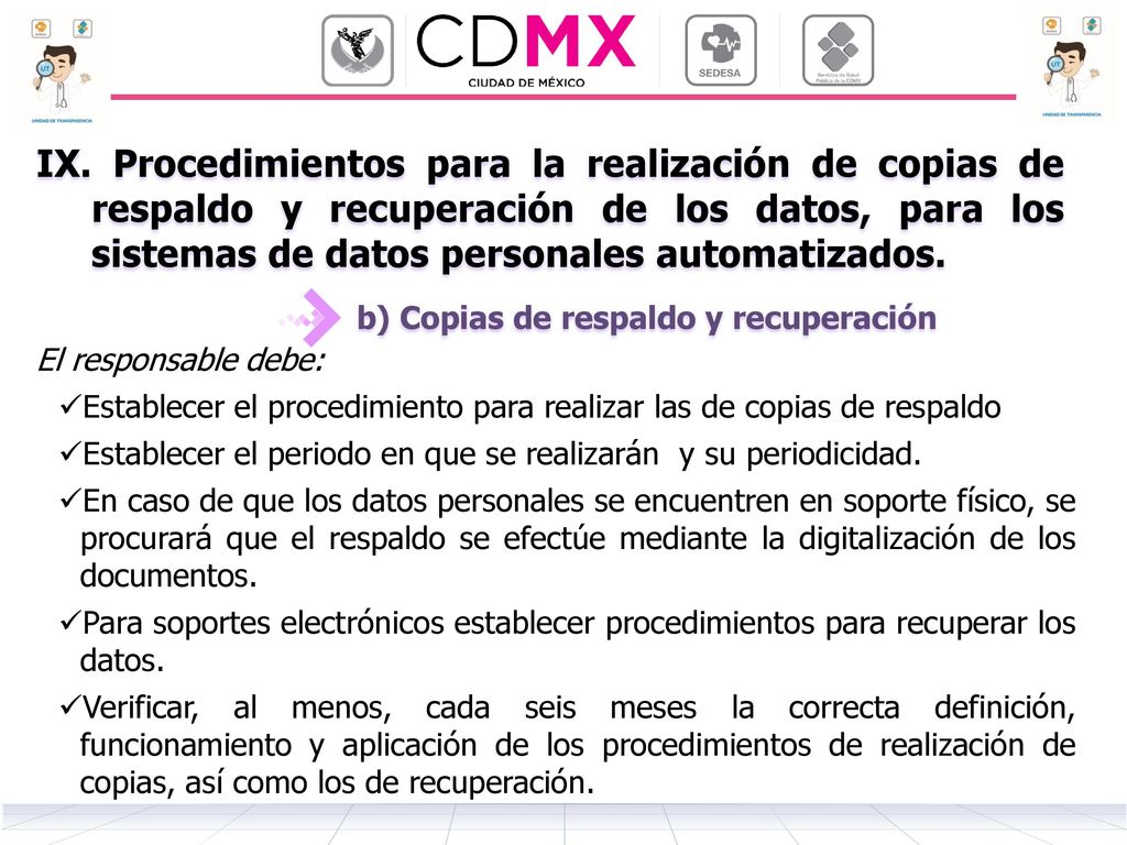 IX. Procedimientos para la realización de copias de respaldo y recuperación de los datos, para los sistemas de datos personales automatizados.