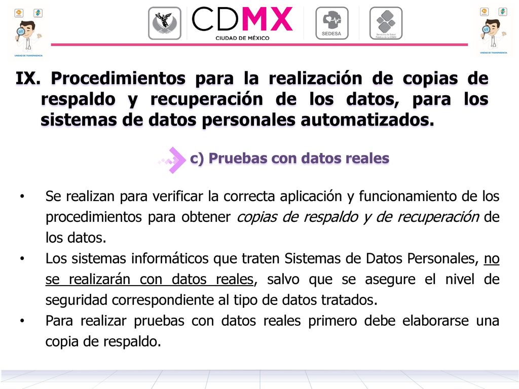 IX. Procedimientos para la realización de copias de respaldo y recuperación de los datos, para los sistemas de datos personales automatizados.