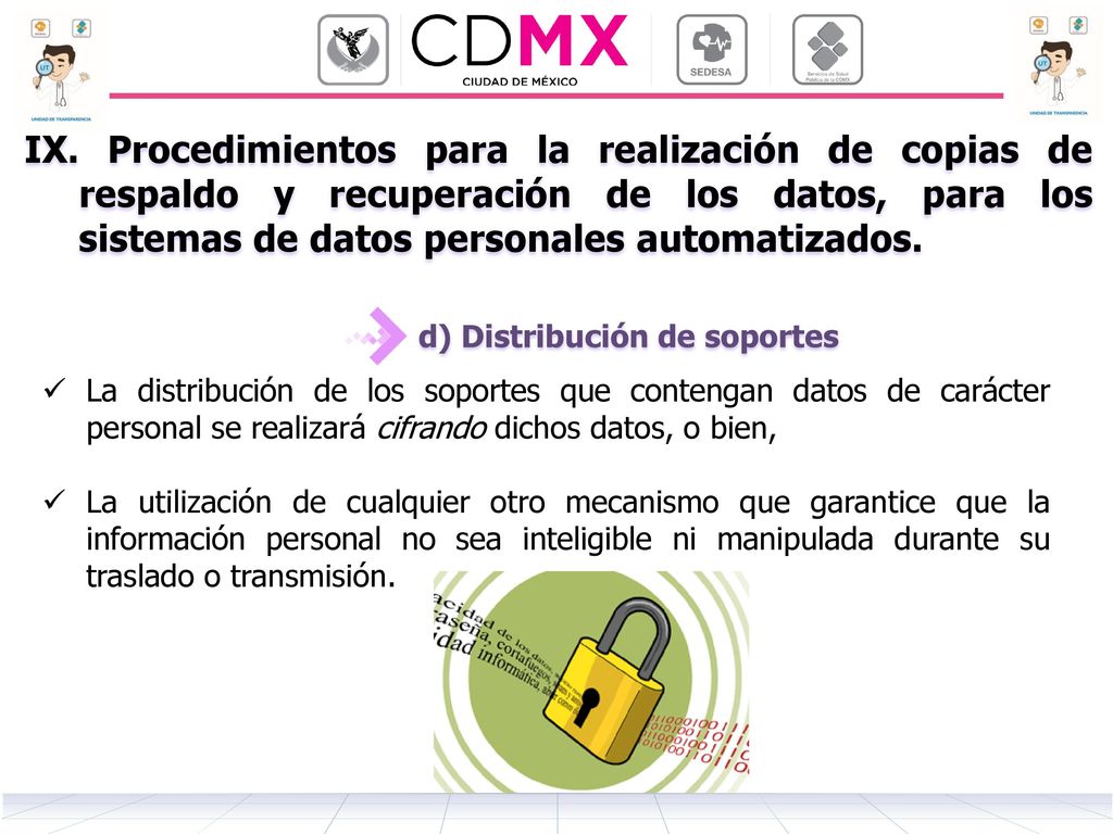 IX. Procedimientos para la realización de copias de respaldo y recuperación de los datos, para los sistemas de datos personales automatizados.